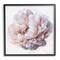 Stupell Industries Detailed Peony Petals Framed Giclee Art